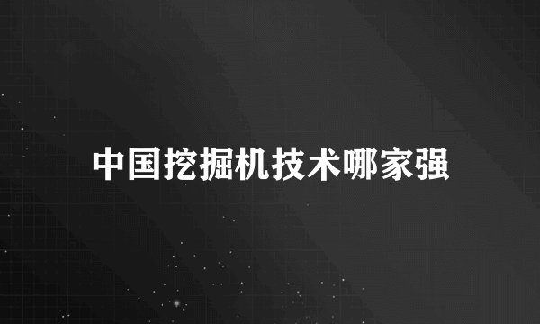 中国挖掘机技术哪家强