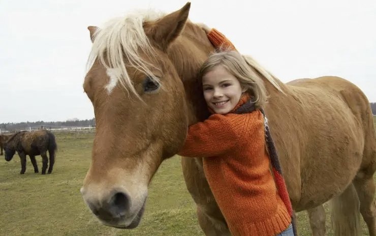 下马作威的意思是
