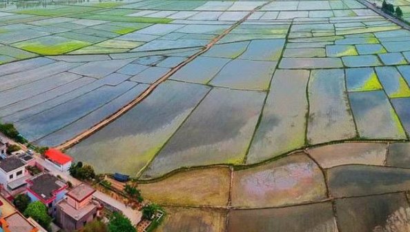 中国四大粮仓是什么?