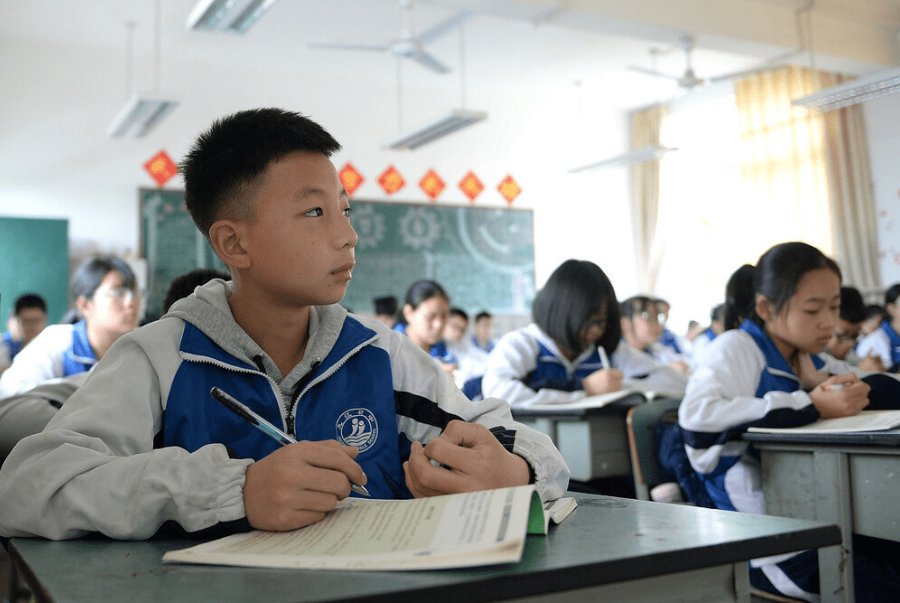 暑期影评怎么写作文500字初中