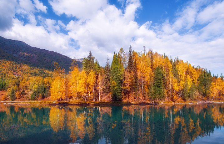 哪句古诗是描写立秋蚂蚁庄园的