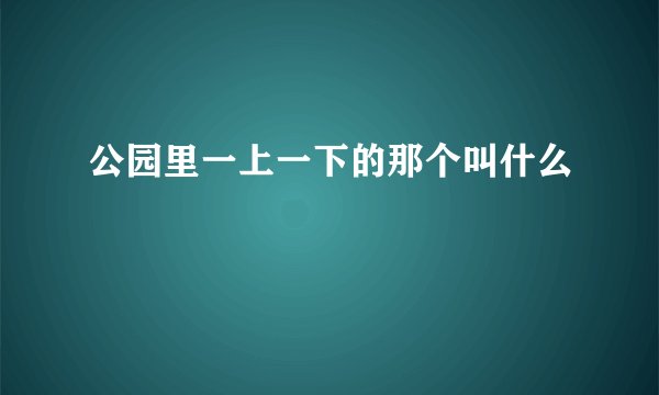 公园里一上一下的那个叫什么