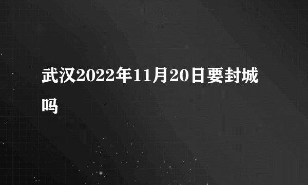 武汉2022年11月20日要封城吗