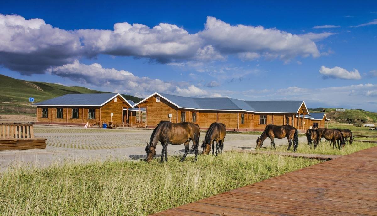 4.37公里的北京崔各庄马道正式开通，崔各庄与马有哪些渊源？