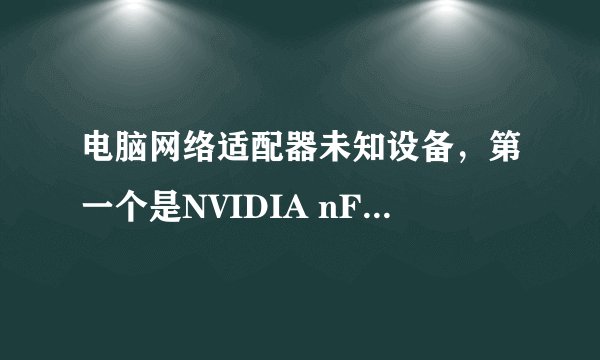 电脑网络适配器未知设备，第一个是NVIDIA nForce Networking Controller，第二个是未知设备，无法安装。