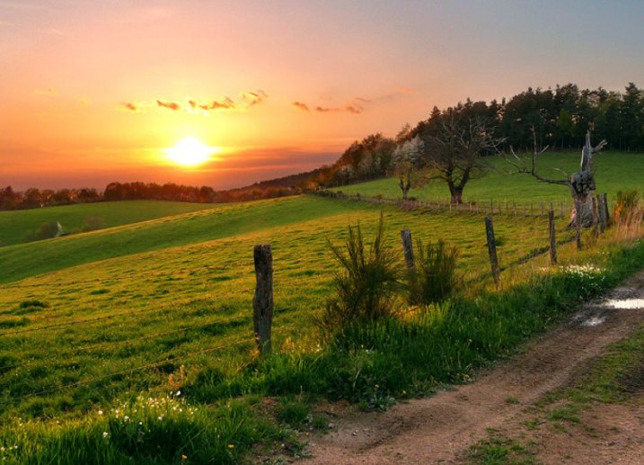 natural和nature的区别