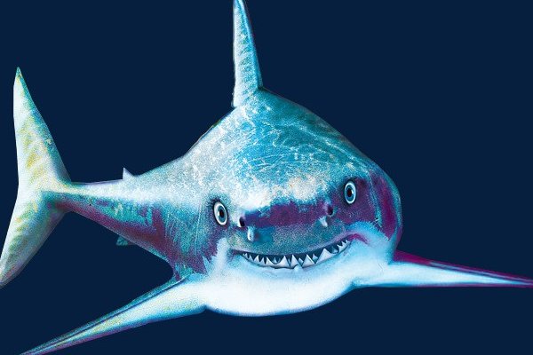 鲨鱼害怕什么颜色