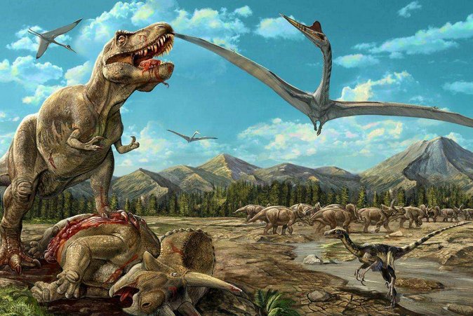 地球所有纪的顺序是什么？