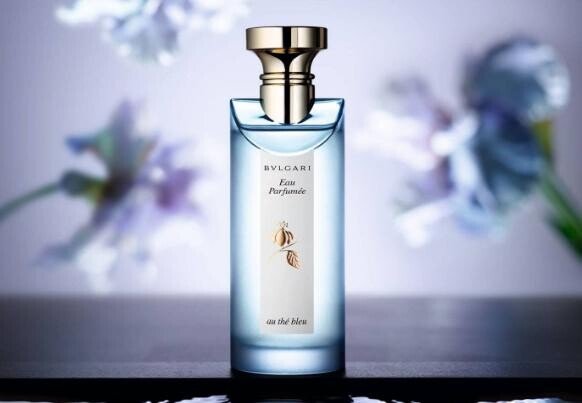 情人节收了520红包怎么回复