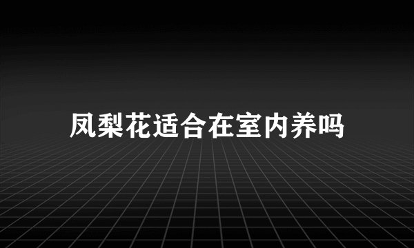 凤梨花适合在室内养吗