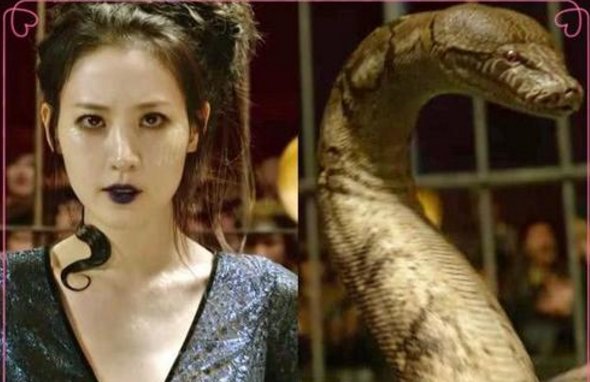 神奇动物在哪里2:格林德沃之罪电影有哪些隐藏彩蛋？