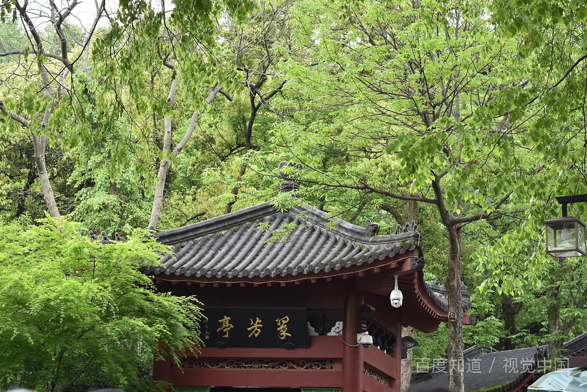 与人合租时，你都遇到过哪些糟心事？