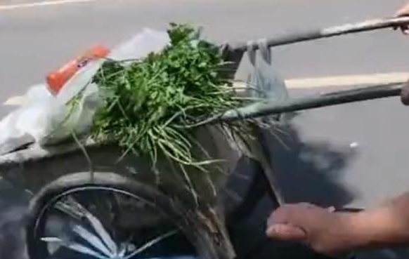 上海推出限时购物政策，市民是如何开启购物模式的？