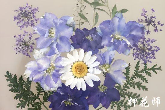 押花师的工作是什么