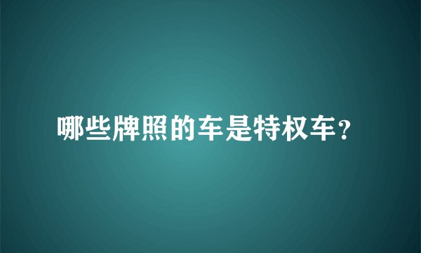 哪些牌照的车是特权车？
