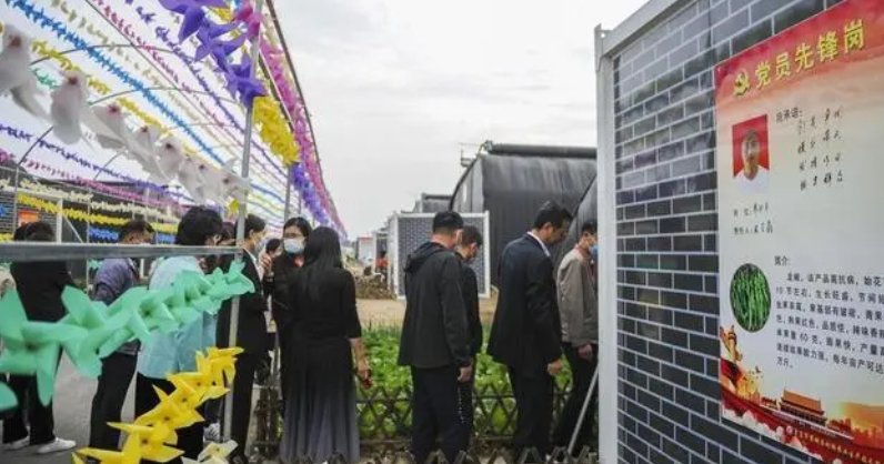 人往高处走，山东一村8090后全部回村就业，建设村庄有哪些积极意义？