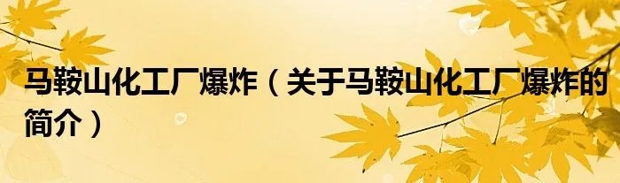马鞍山化工厂爆炸（关于马鞍山化工厂爆炸的简介）