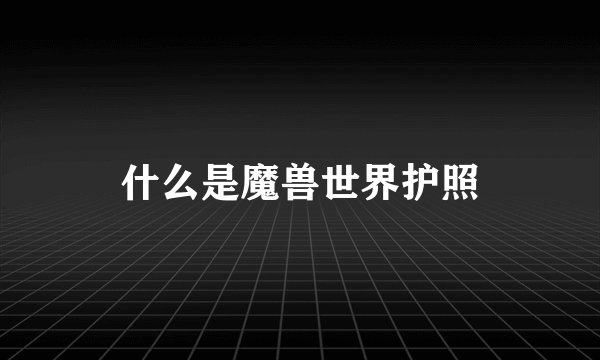 什么是魔兽世界护照