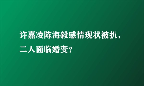 许嘉凌陈海毅感情现状被扒,二人面临婚变?