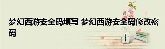 梦幻西游安全码填写 梦幻西游安全码修改密码