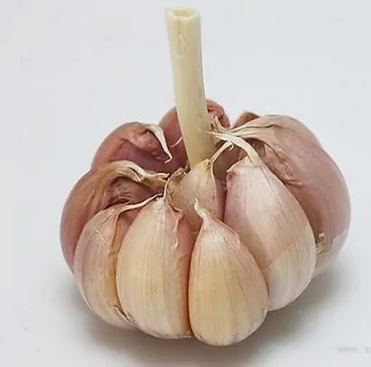 大蒜的正确吃法竟99%人都弄错:涨知识(图)