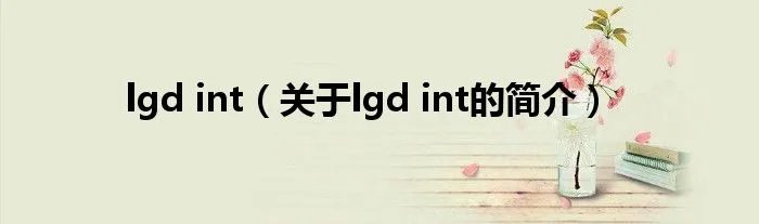 lgd int（关于lgd int的简介）