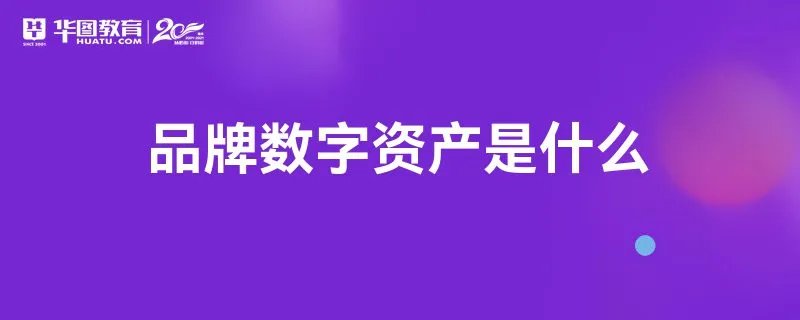 品牌数字资产是什么