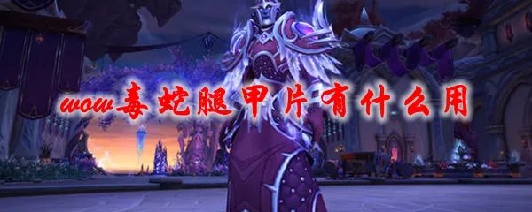 魔兽世界虚空毒蛇腿甲片有什么用