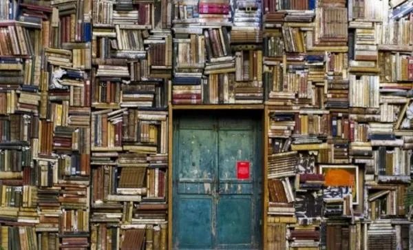 完善和落实研究生分流退出机制，对学生来说有何影响？