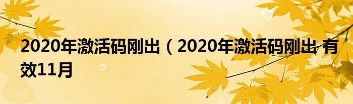 2020年激活码刚出(2020年激活码刚出 有效11月