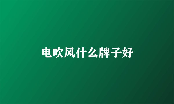 电吹风什么牌子好
