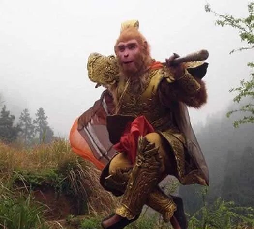 孙悟空为何只活了342岁:揭秘真相太惊人