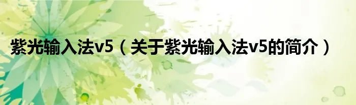 紫光输入法v5（关于紫光输入法v5的简介）