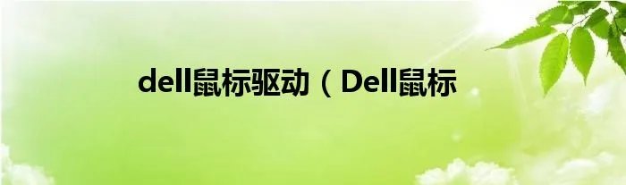 dell鼠标驱动（Dell鼠标