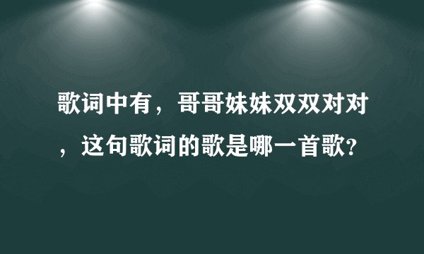 歌词中有，哥哥妹妹双双对对，这句歌词的歌是哪一首歌？