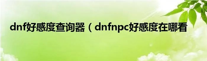 dnf好感度查询器（dnfnpc好感度在哪看
