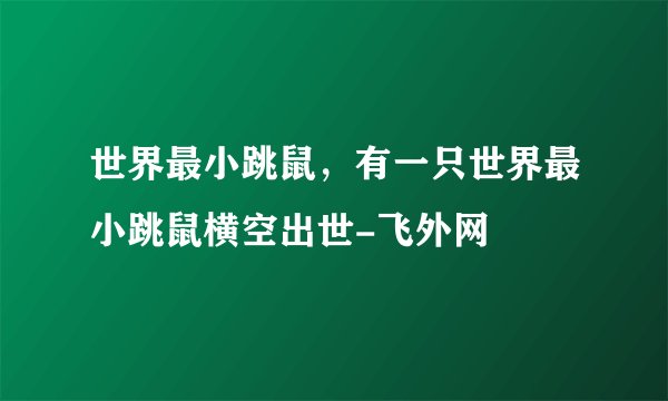 世界最小跳鼠,有一只世界最小跳鼠横空出世-飞外网
