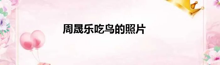 周晟乐吃鸟的照片