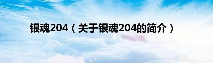 银魂204（关于银魂204的简介）