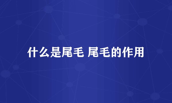 什么是尾毛 尾毛的作用