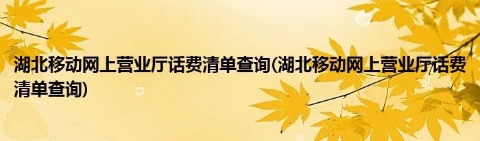 湖北移动网上营业厅话费清单查询(湖北移动网上营业厅话费清单查询)