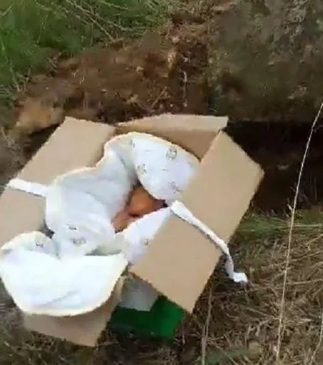 埋婴案爷爷被刑拘怎么回事 事件始末详情及真相曝光