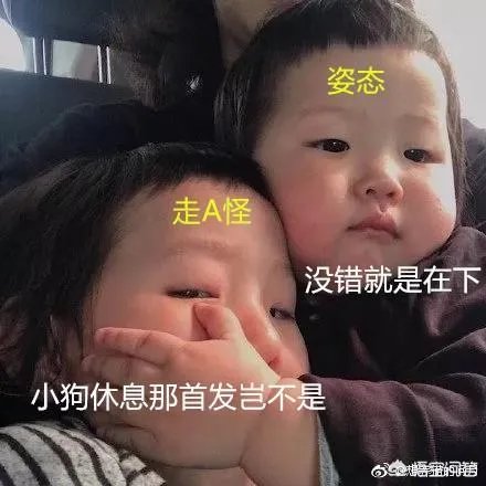 RNG打OMG的比赛将由姿态担任首发AD,网友调侃买姿态太赚了,你怎么看?