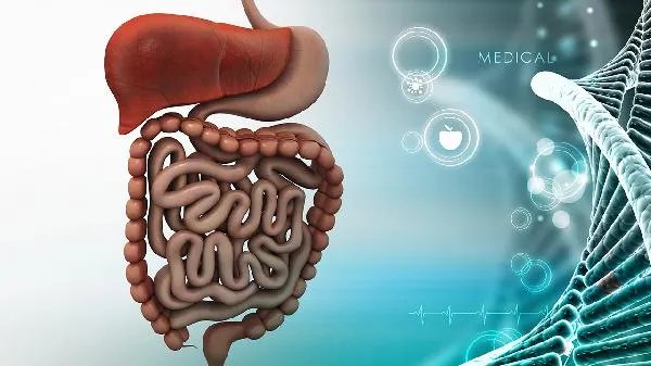 丙肝抗体怎么回事?