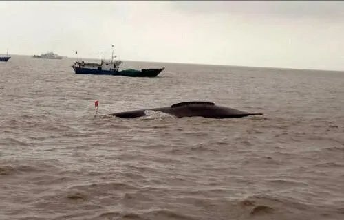 江苏渔船相撞是真的吗?