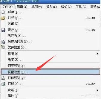 word2003的页面怎么设置?