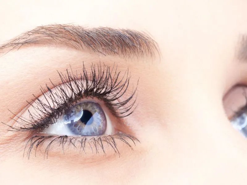 睫毛膏的作用