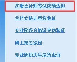 2017年CPA考试成绩什么时候查询？