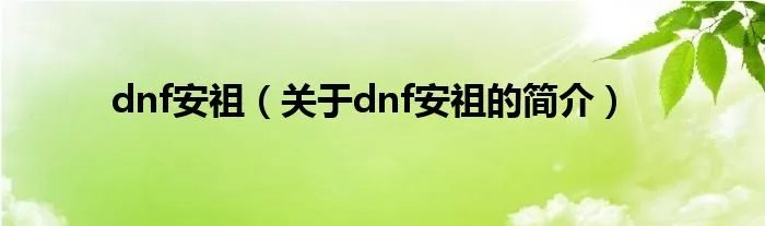 dnf安祖(关于dnf安祖的简介)