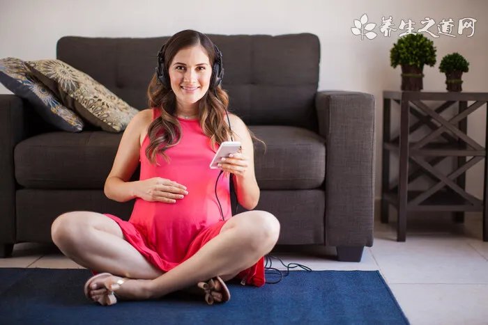 你所熟知的猫猫论坛有哪些?